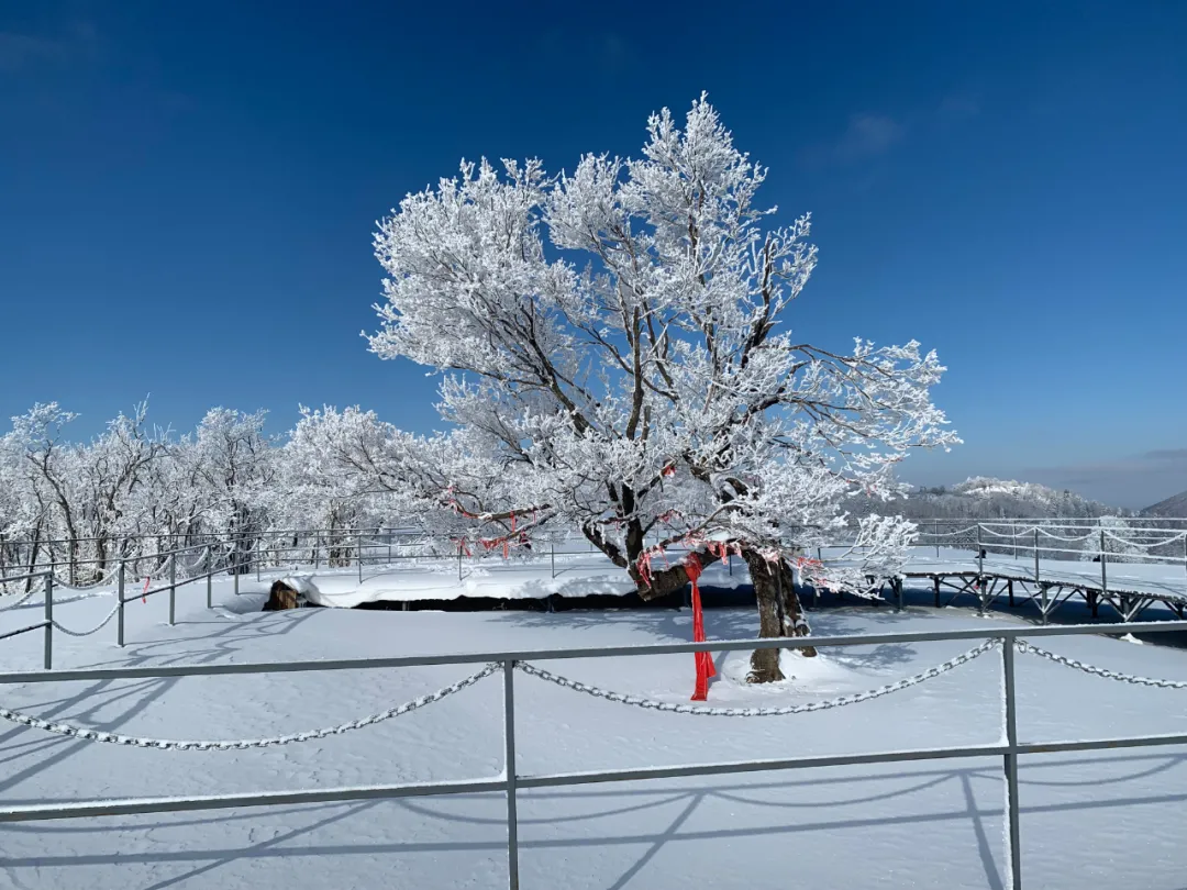 登高眺远景秘境身心愉冬日，来一场任性的雪山游