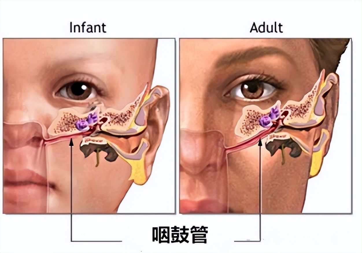「家家母婴」给宝宝捏鼻梁能让鼻梁变高吗？竟然会有这4种危害