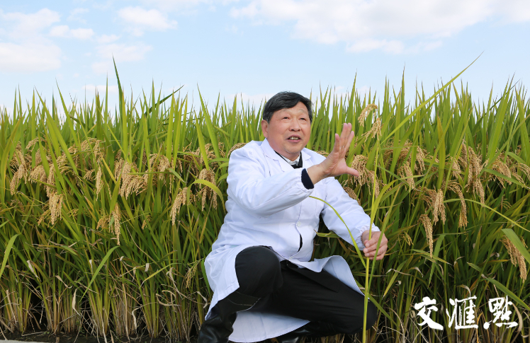 水稻院士除了袁隆平，还有好多
