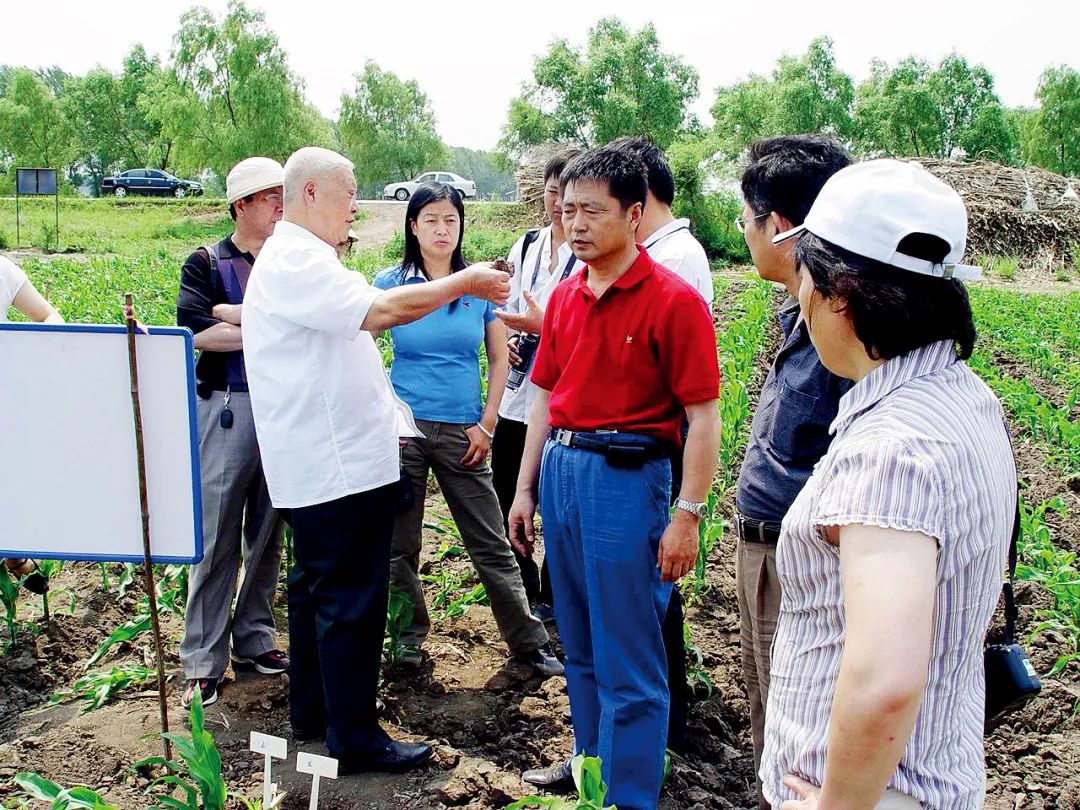 黑土地告急！事关14亿人的饭碗