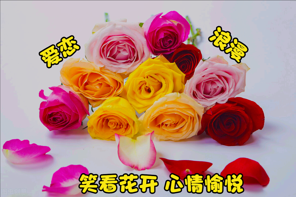 一花一世界，桃花绽放处，心随春意醉