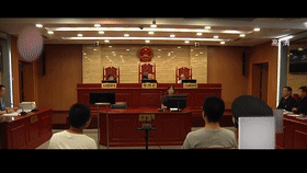 大学生“神操作”，用苹果手机诈骗他人两千万：江苏高材生诈骗案