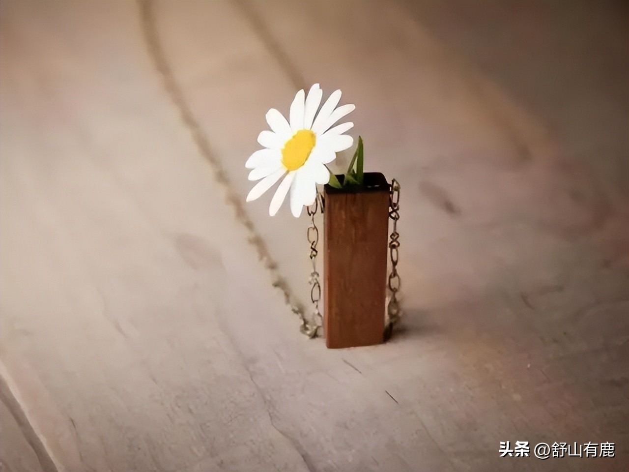 你在何时出生，何时离开，命顺不顺，冥冥中早有定数