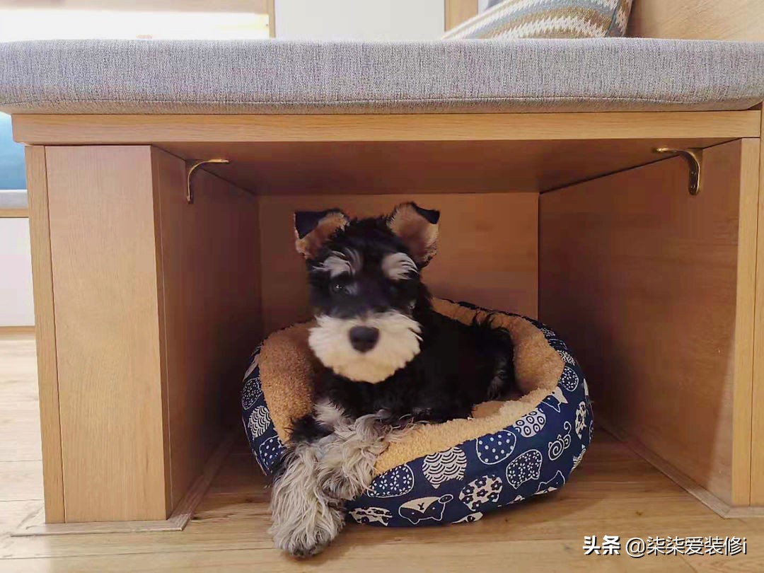 这套房子的利用率太高了，卫生间仅6㎡居然做四分离，装得很温馨