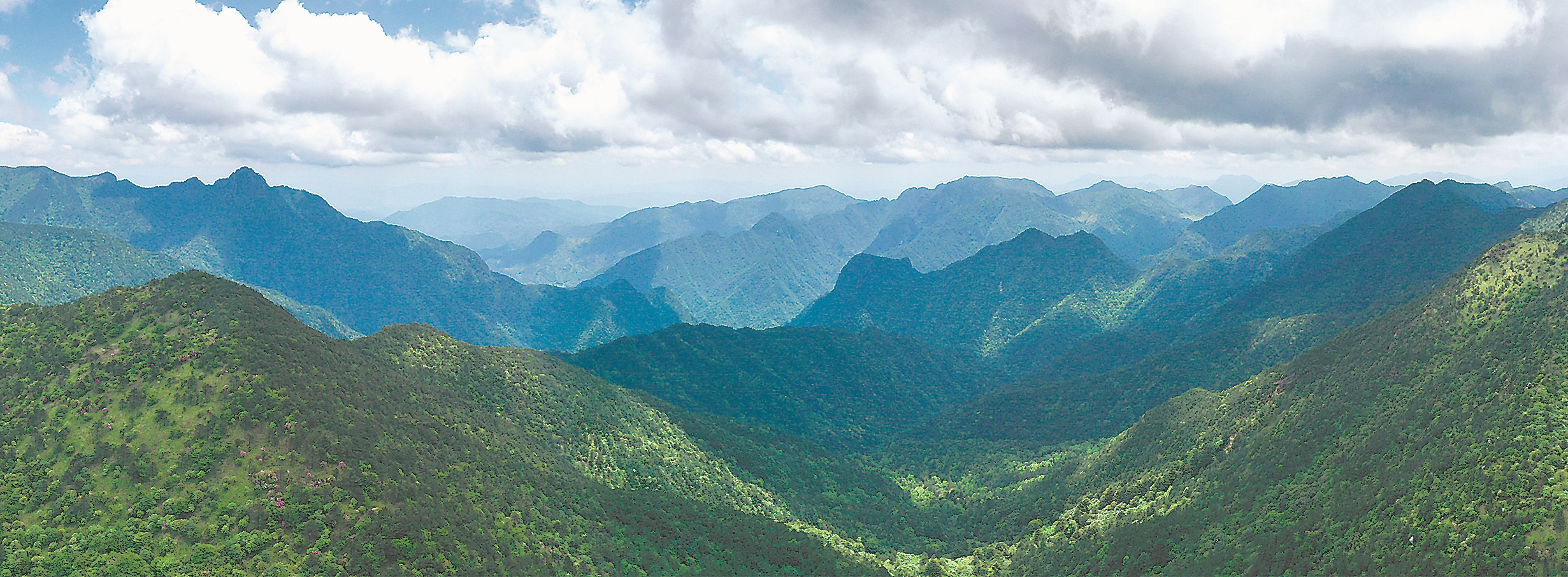 关注森林·探秘武夷——走进光泽|科考之眼，探秘“世界生物之窗”