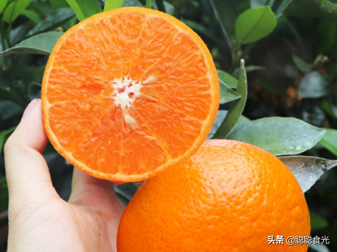 橘子有哪些品种（10个常见的柑橘品种，口感各有优缺点）