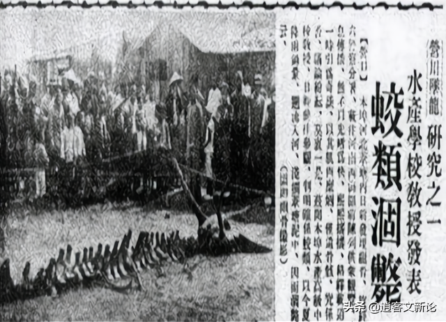 辽宁八旬老人，称9岁时见过真龙，晚年主动上交5块“龙骨”引热议