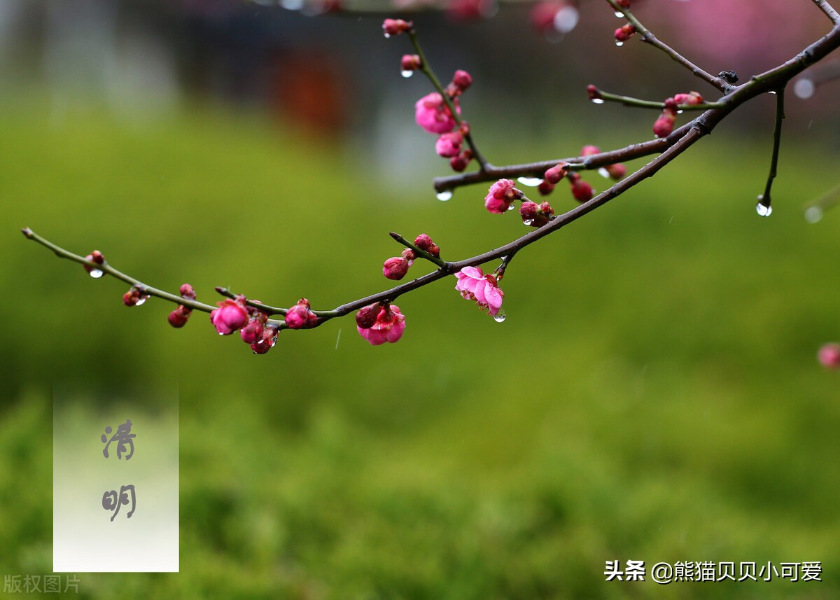 2022年清明节随记：那些值得所有中国人去铭记和祭奠的日子和人