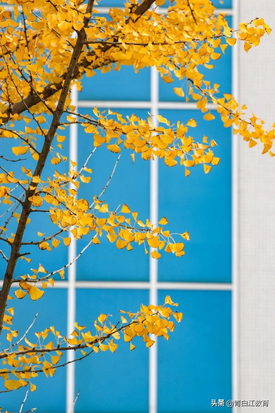 秋冬美图来袭① | 为你喜欢的校园美景投票吧