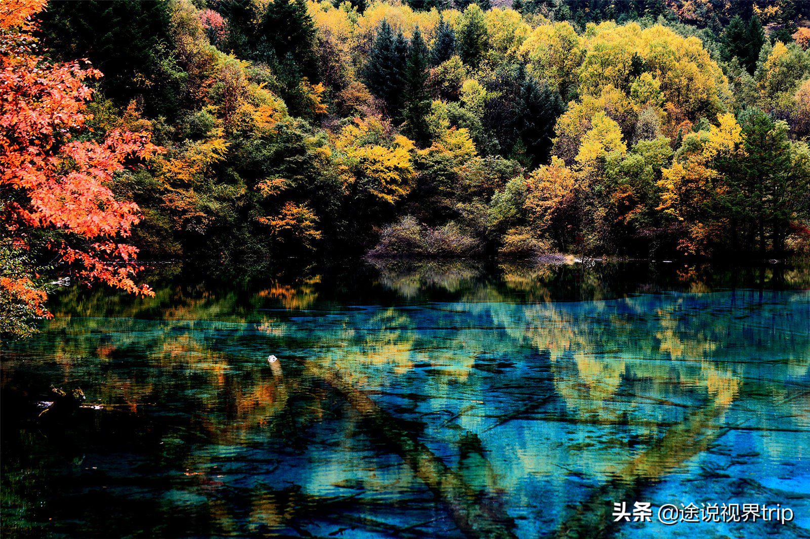 在四川省阿坝州九寨沟县 - 用户投稿 - 旭辉网