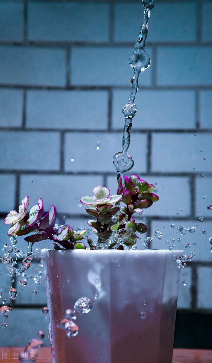 唯美意境风景带句子壁纸