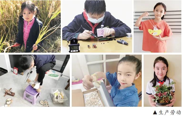 建构具有家庭特色家庭品格家庭气派的高质量家庭劳动教育体系——河西区平山道小学探索家庭劳动教育纪实