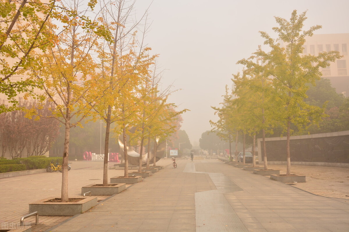 湖北工业大学继续教育学院成人高考函授专科本科招生报名专业