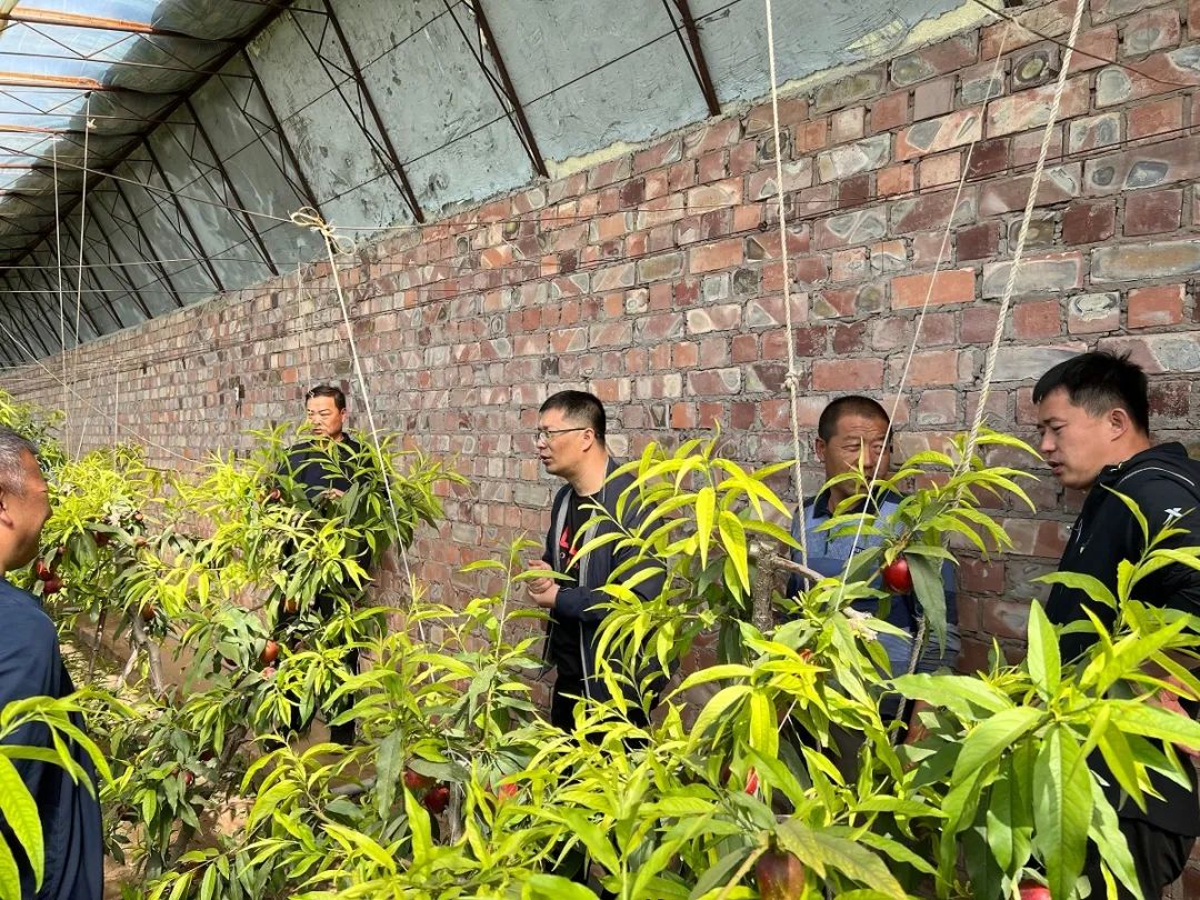 鄂尔多斯市：科普春雨润草原