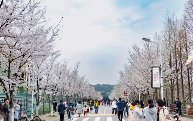 2022农林类高校金字塔出炉！中国农大独占鳌头，华中农大表现不俗