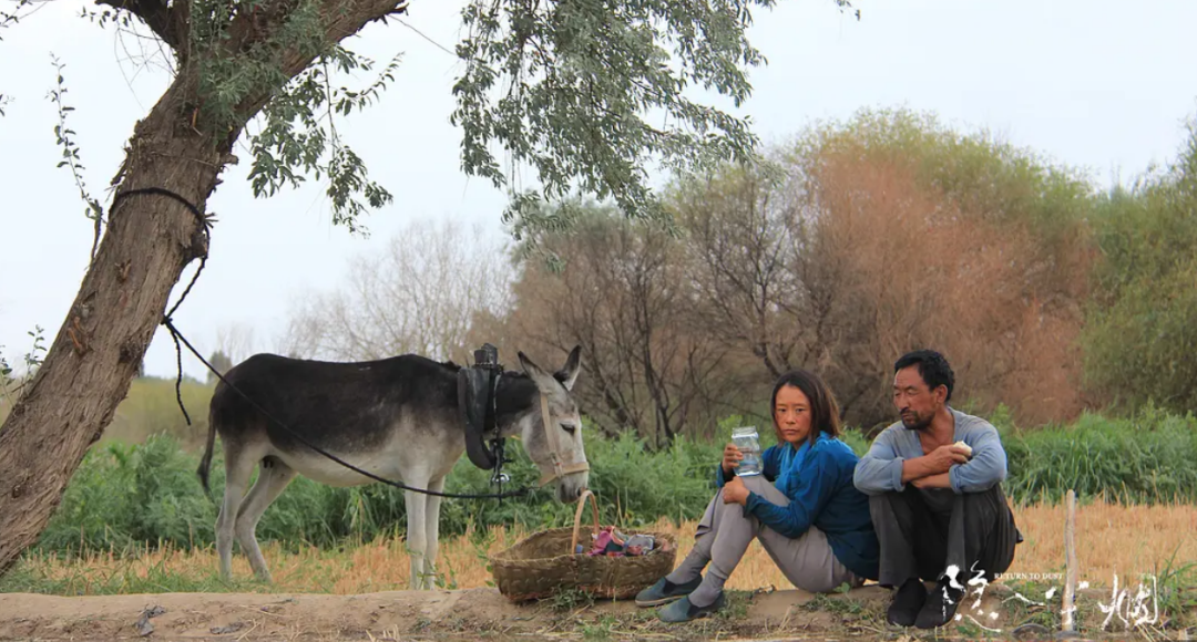 今年最高分良心之作，再不看没机会了