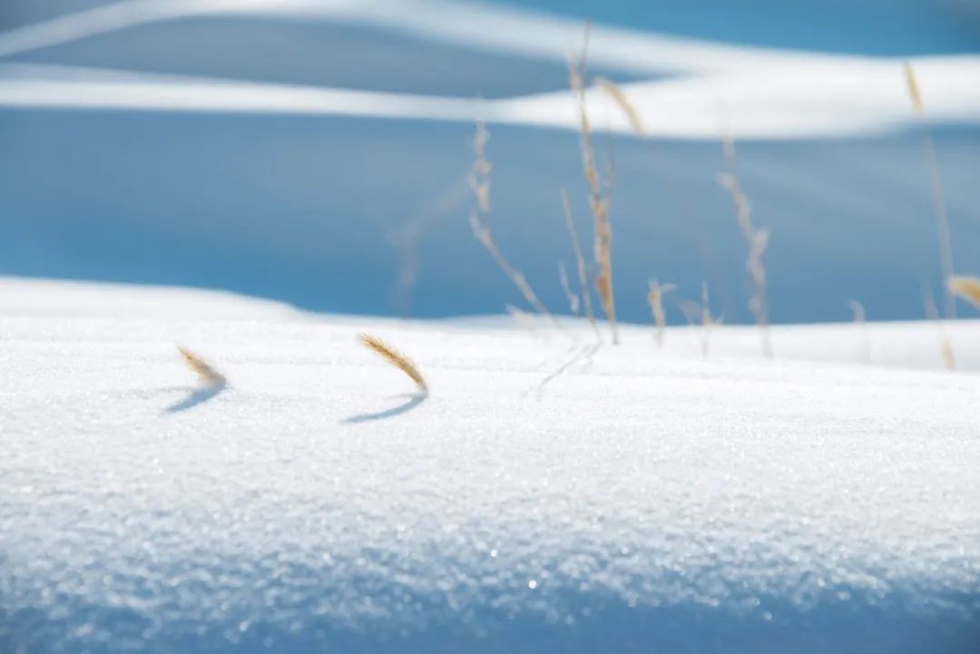 写雪最美的10首诗词，如冰如玉，纯美轻盈，美到灵魂里