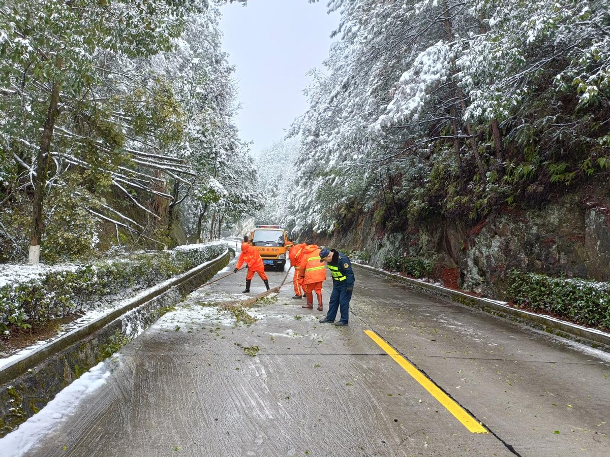 德国瑞典油锯353(迎雪而上，除雪保畅)