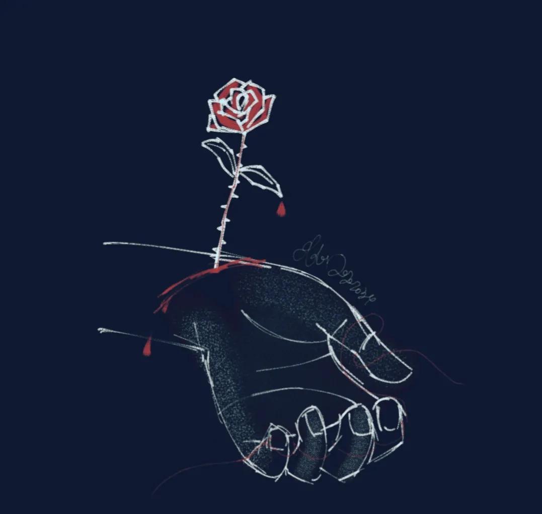 《玫瑰少年》:玫瑰有刺 少年无罪 只因性别歧视 生命永远定格在15岁
