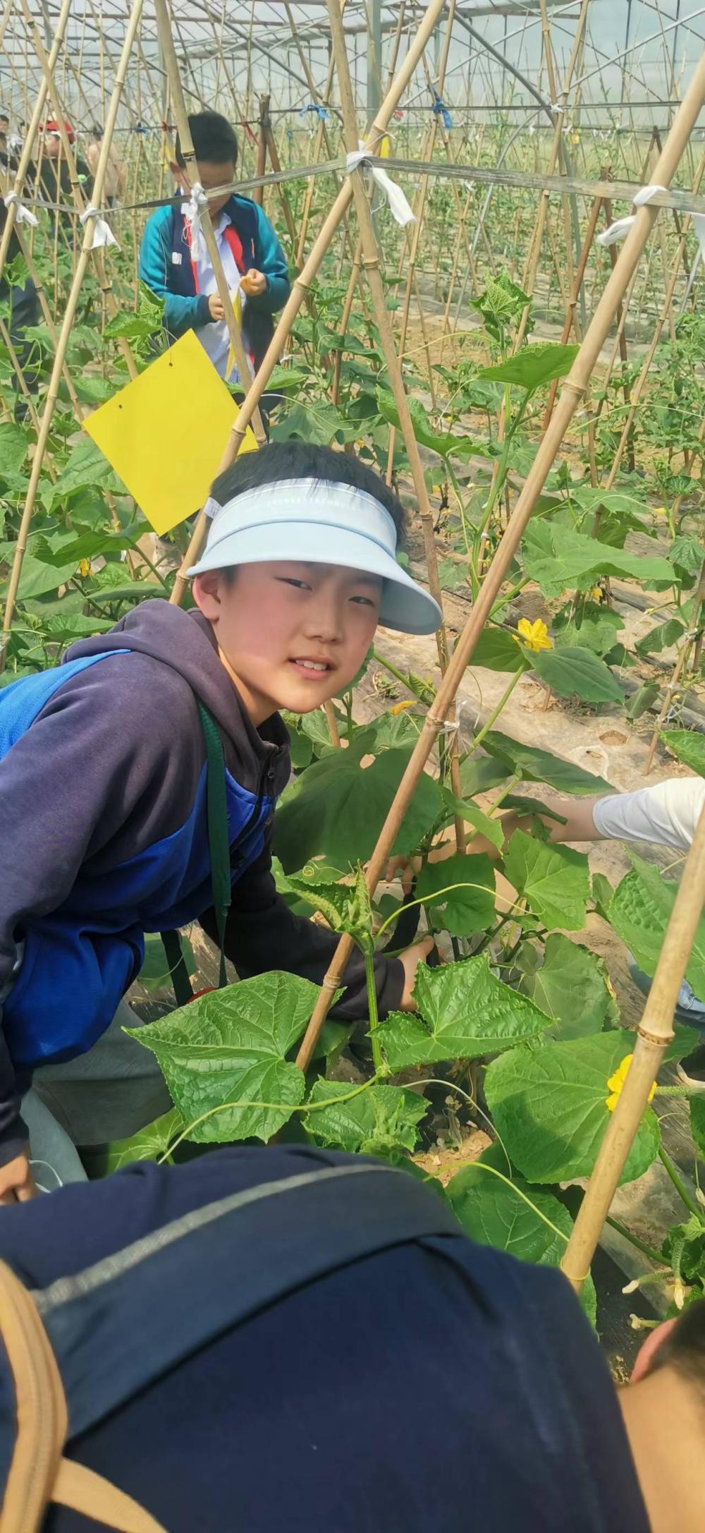 泗陽縣實驗小學:小小農(nóng)夫捉蟲忙(圖16) 泗陽縣實驗小學:小小農(nóng)夫捉蟲忙(圖16)