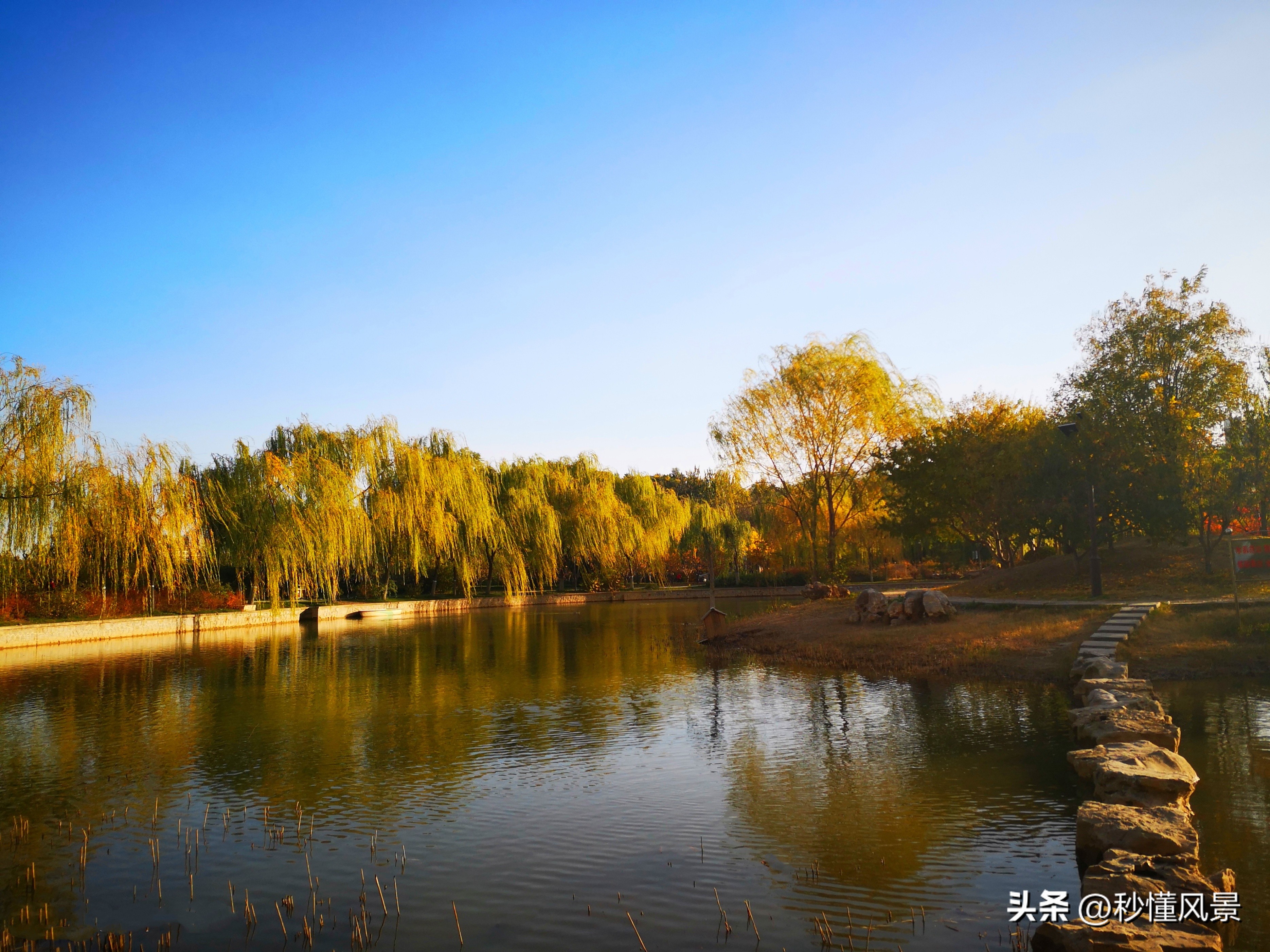 在哪可看天津(天津市区最高峰，山上已经秋意渐浓，不要门票适合溜娃拍照赏秋)