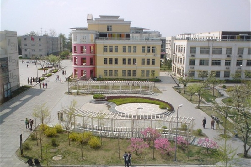 低分也可以上北京郑州的五所院校，艺术类招生专业及录取分数线？