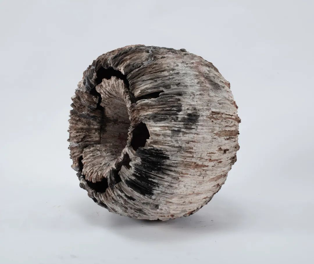 广州美术学院工艺美术学院2022研究生毕业大展