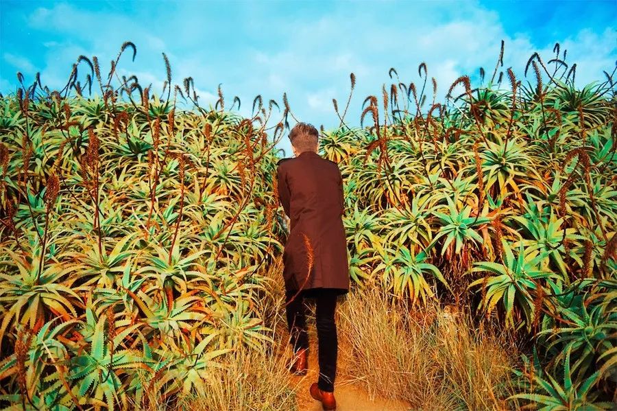 如何通过自己的努力变得更优秀？