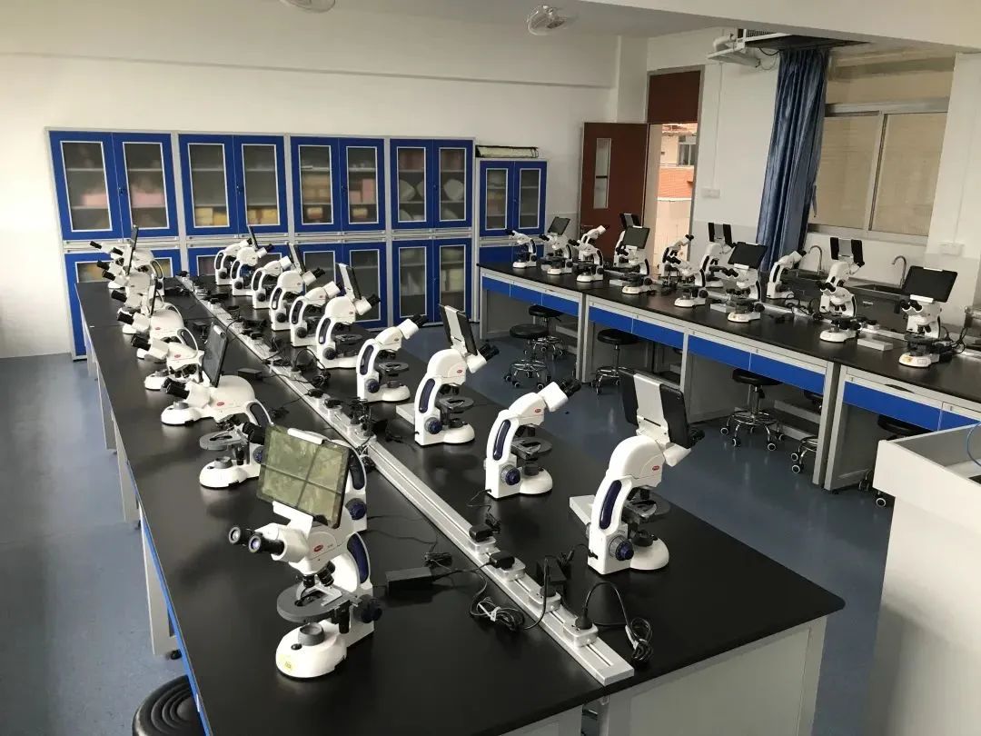 广州华立科技职业学院招录信息丨 2022年春季高考录取查询通道开启