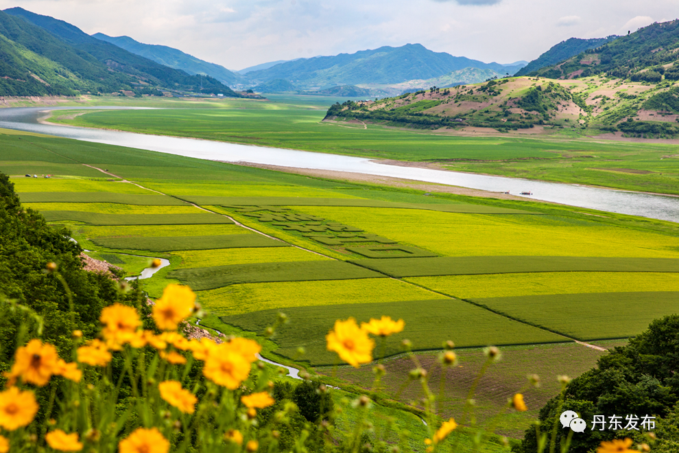 丹东这一地儿入选全国十大赏樱地！赏花攻略提前收藏