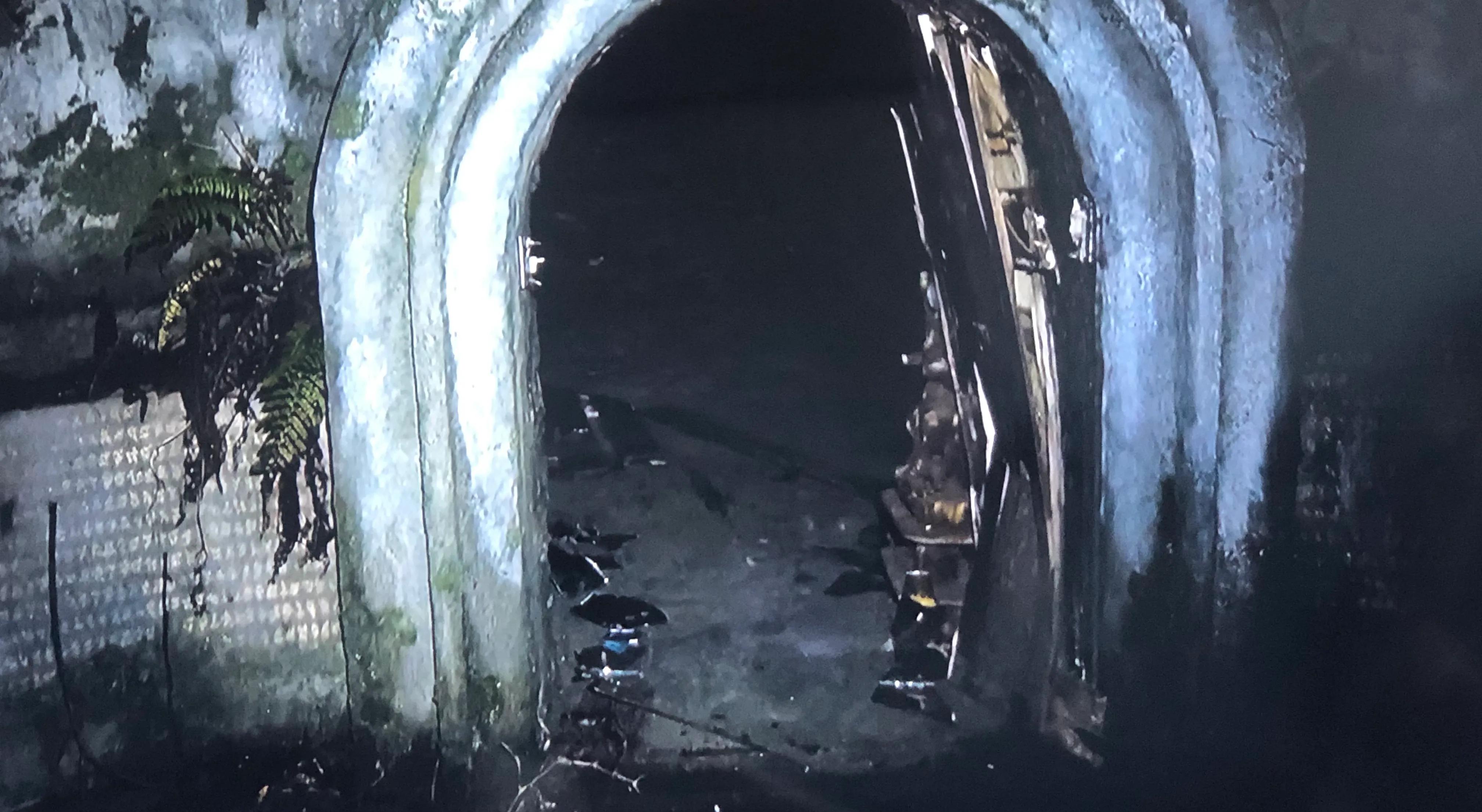 年度最恐怖电影《咒》不敢看？五分钟告诉你讲的啥，很精彩