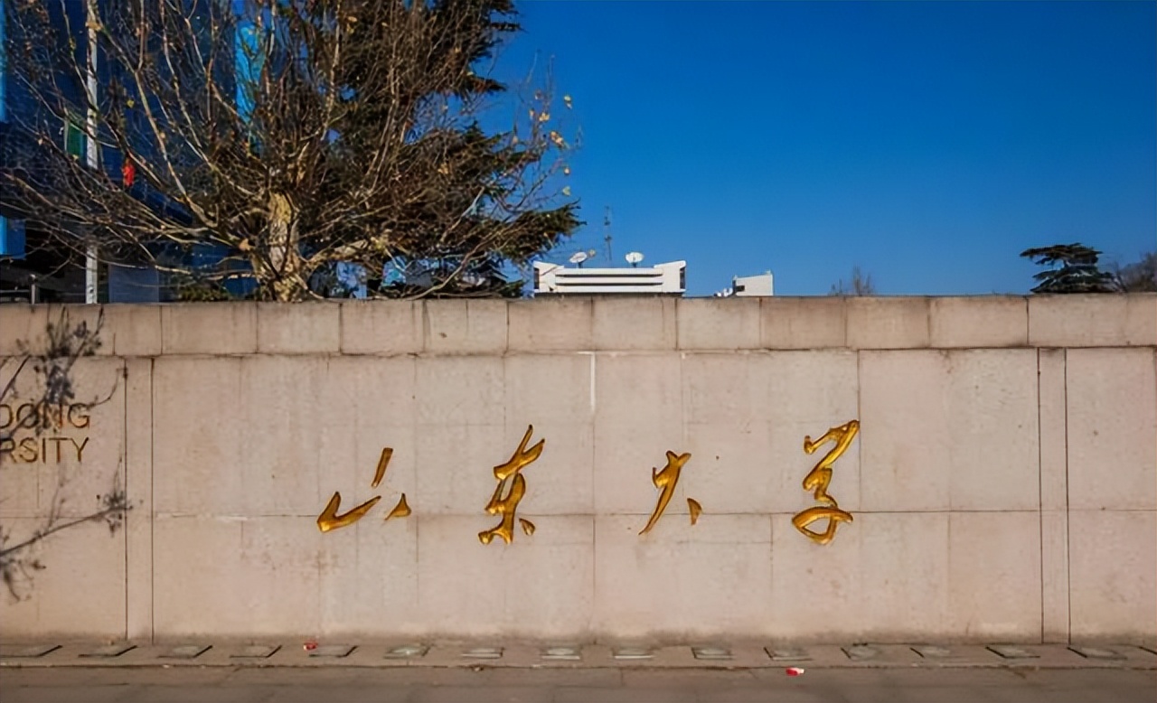 山东大学高颜值女教授火了，三十出头当“博导”，深受学生的喜爱