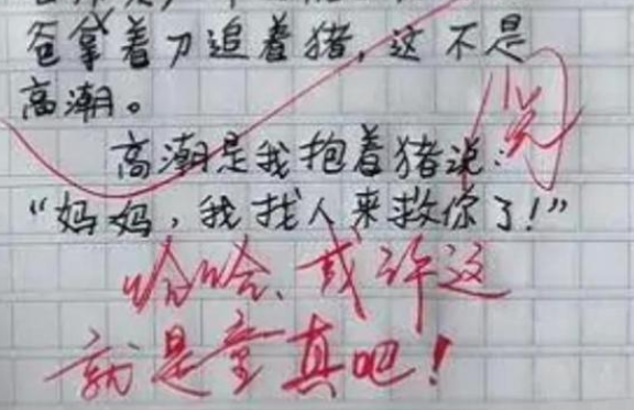 学生作文《我从哪里来》，内容真实想象力丰富，老师看后直呼天才