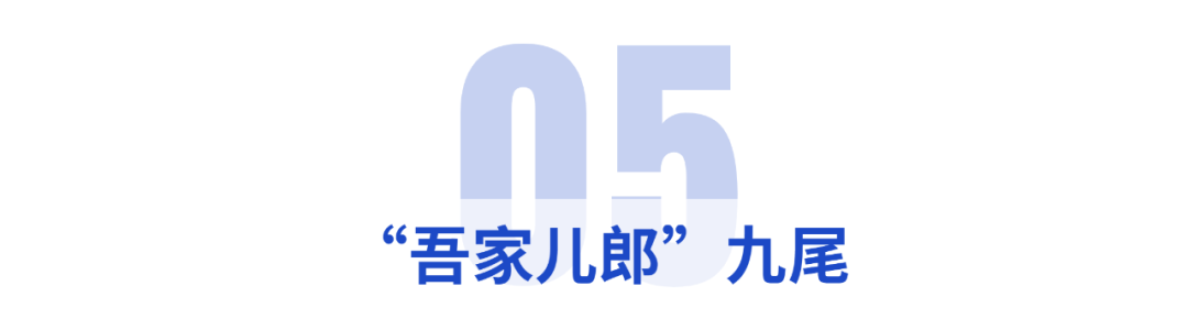 职业电竞选手(盘点电竞圈的十大花样美男，哪个是你心目中的小鲜肉？)