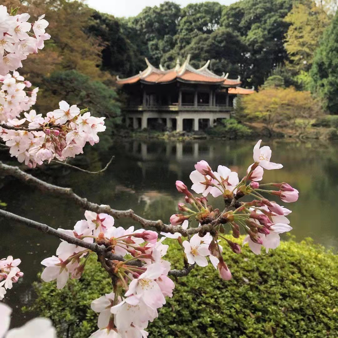 2022发朋友圈被秒赞的文案