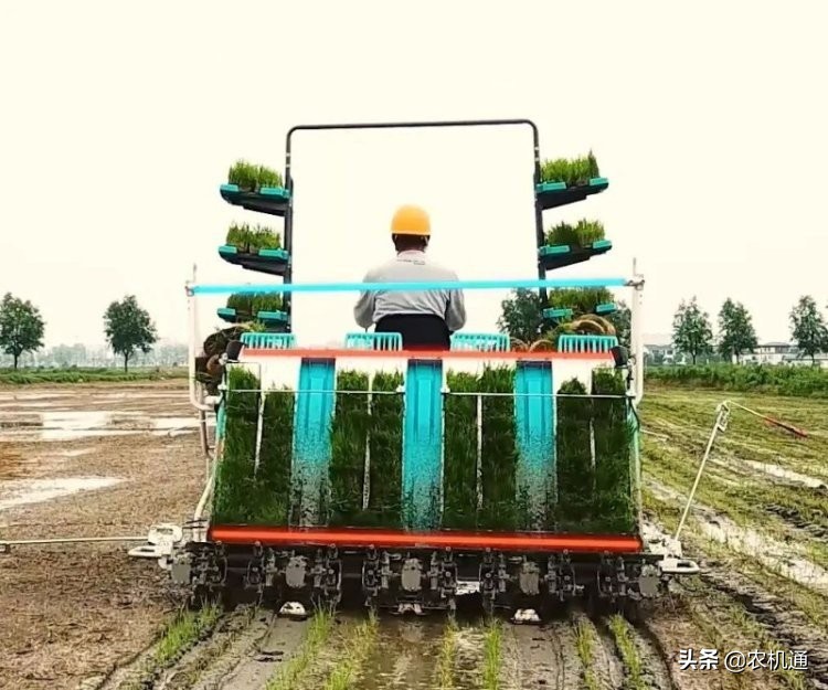 丟掉幻想，擁抱變化，2022年農(nóng)機(jī)市場(chǎng)行情預(yù)測(cè)