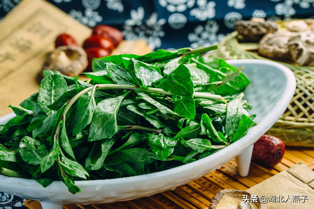 春天挖野菜，送你56种野菜大图片，带你见识不同的野菜和吃法
