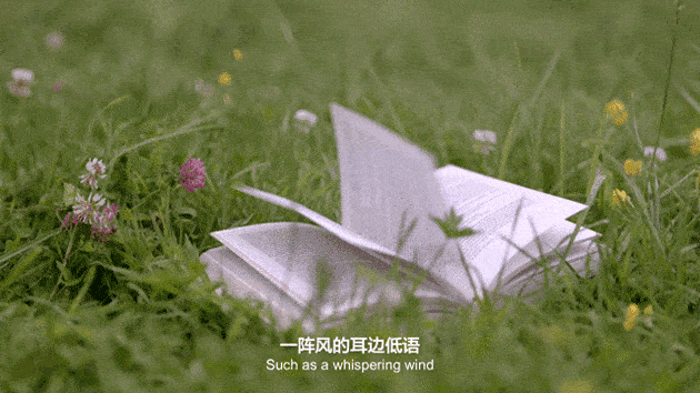 东台吉乃尔湖为什么会消失？圣象天门永久关闭？