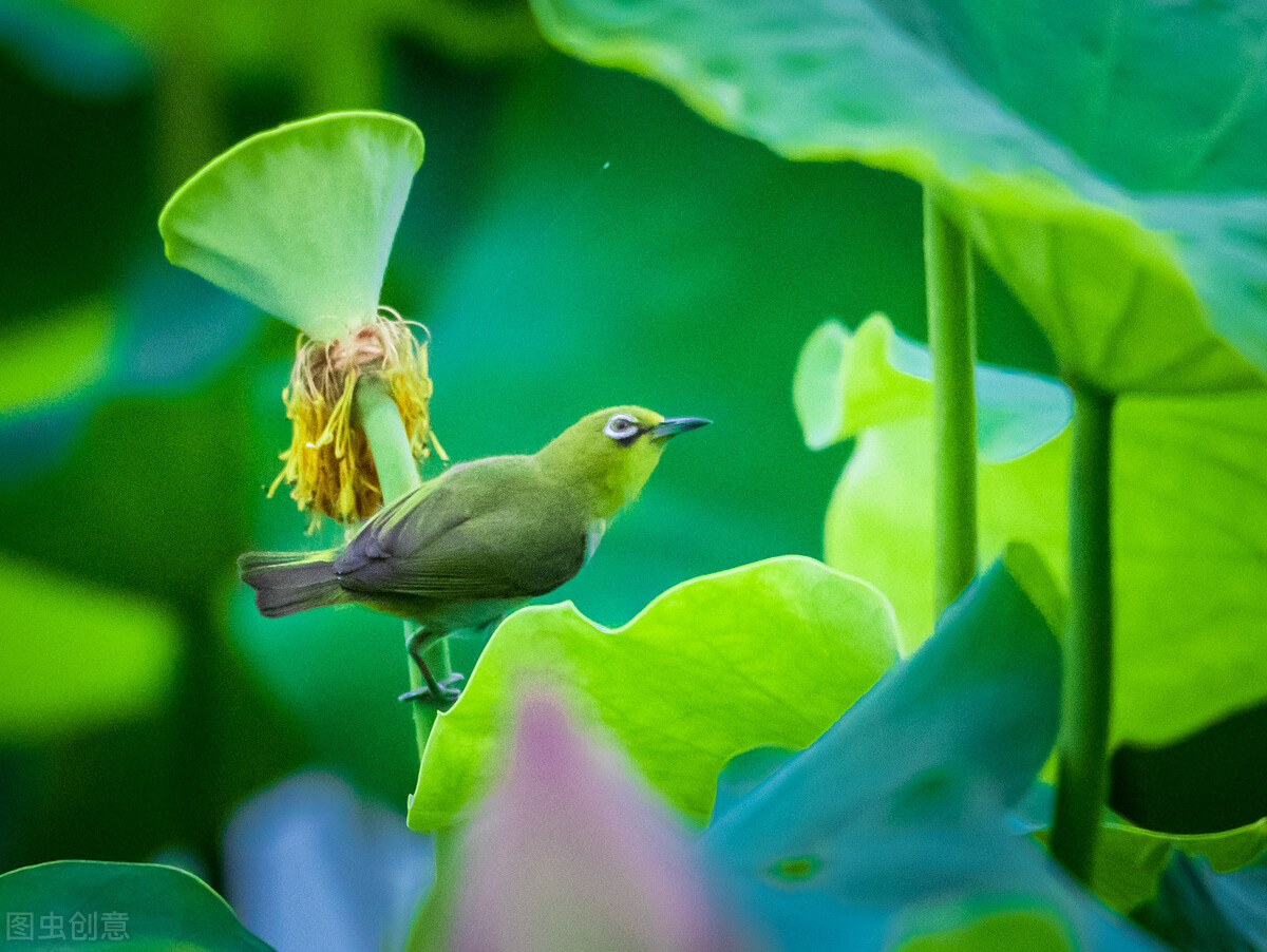 2021浙大宁波理工学院录取分数