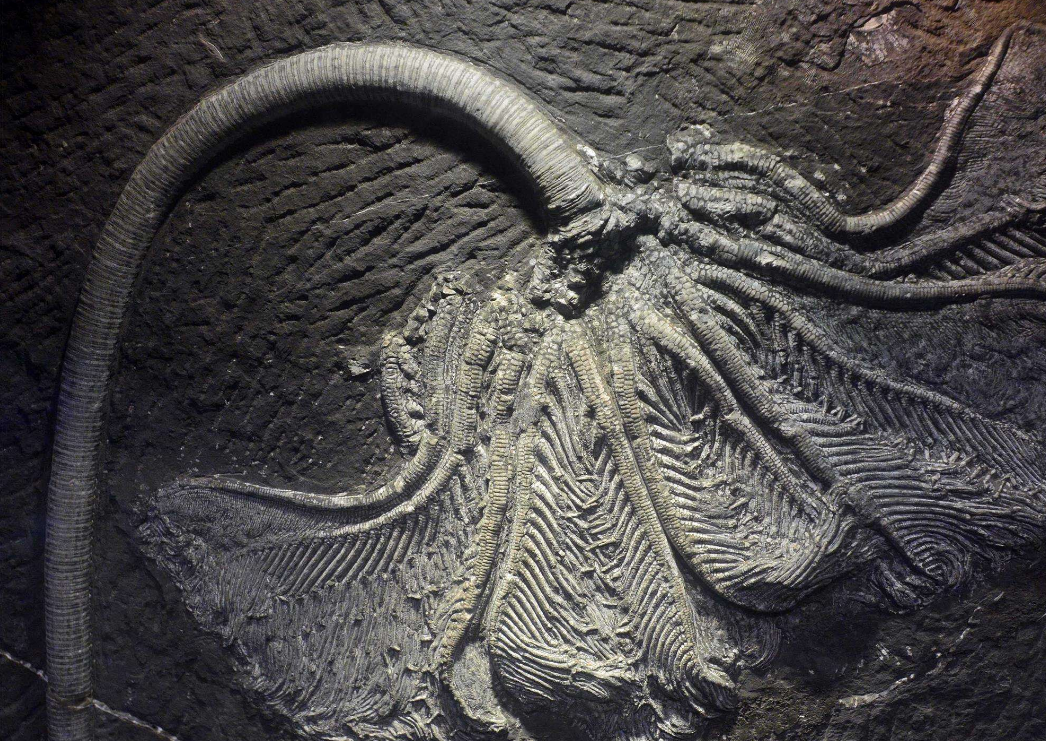 3����ǰ��һ�š���˿������Ƕ��ʯ���У��ҿ�һ��ʷǰ���۷�ʱ��