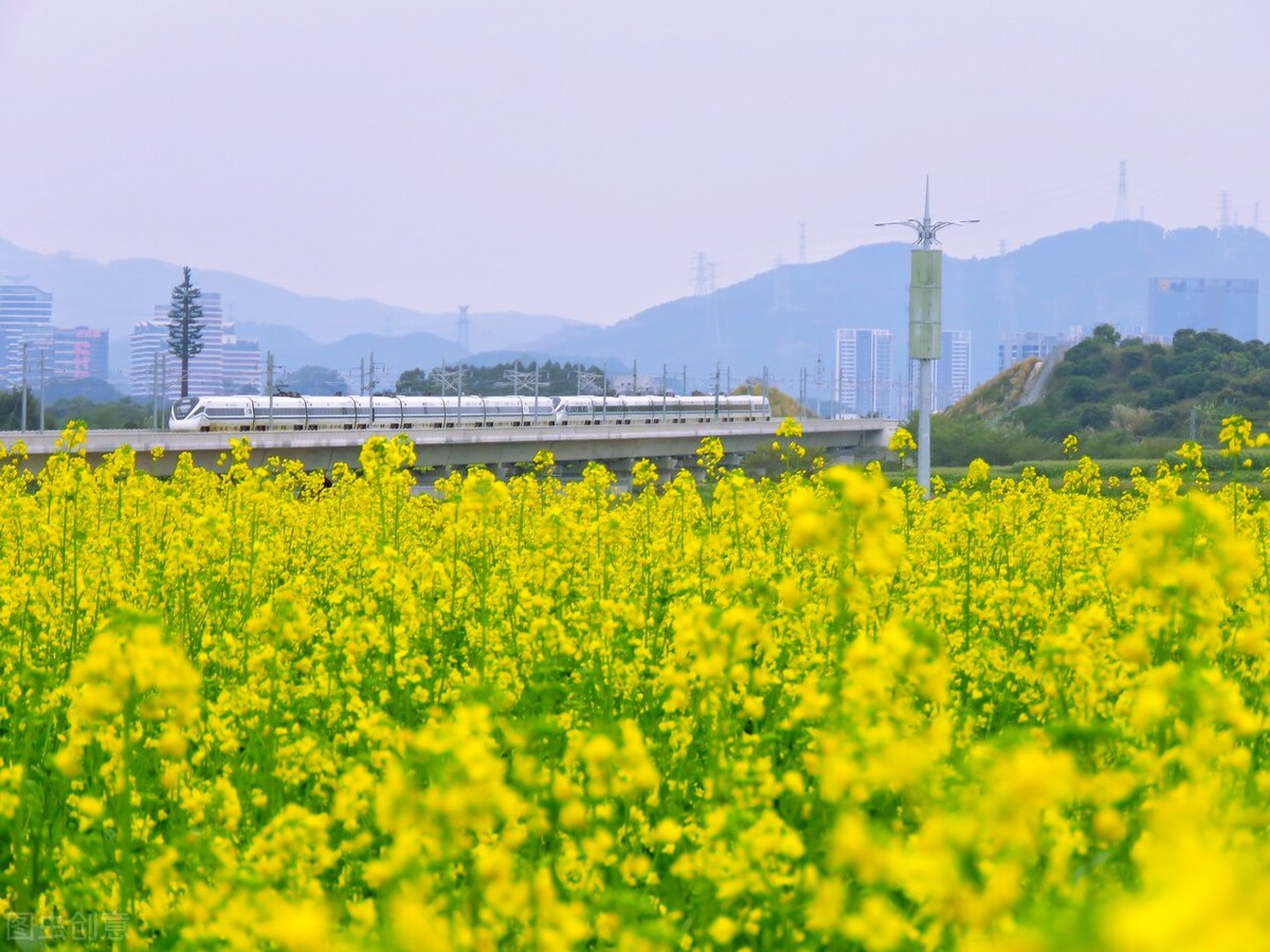 在希望的田野上