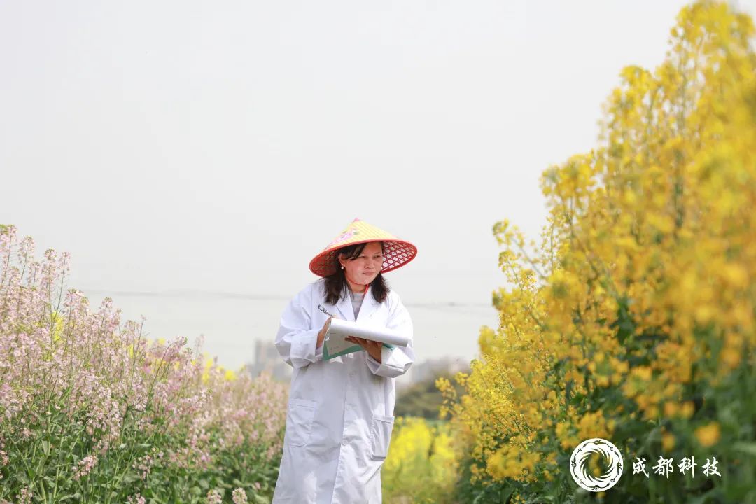 成都科技特派员｜李浩杰与油菜花