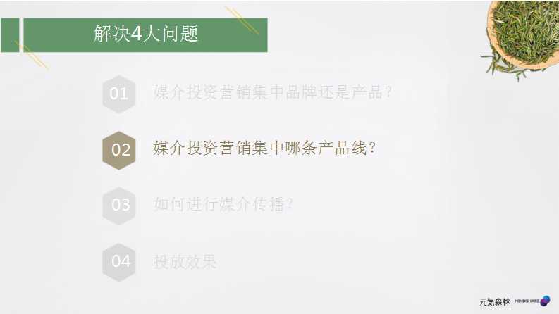 元气森林森林媒介投资规划PPT「食品饮料」「种草带货」