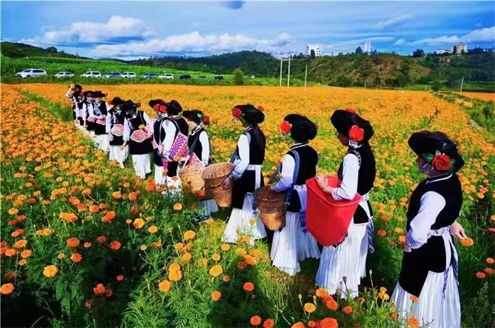 南华县文化和旅游局“五举措”推进作风革命见行见效