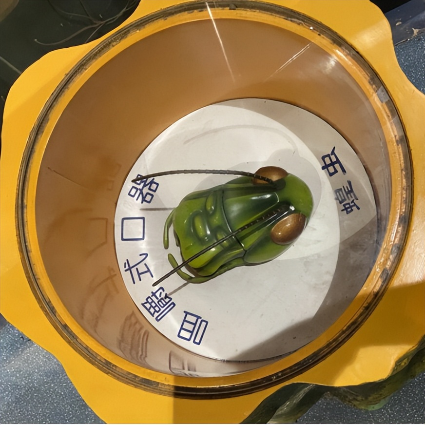 虹吸式口器(虹吸式口器的构造) - 泉兴百科