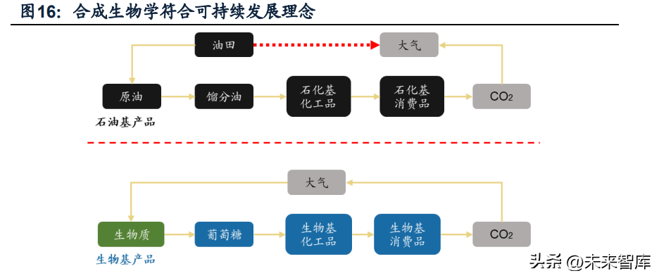 合成生物学行业深度研究：合成生物学创造美好生活