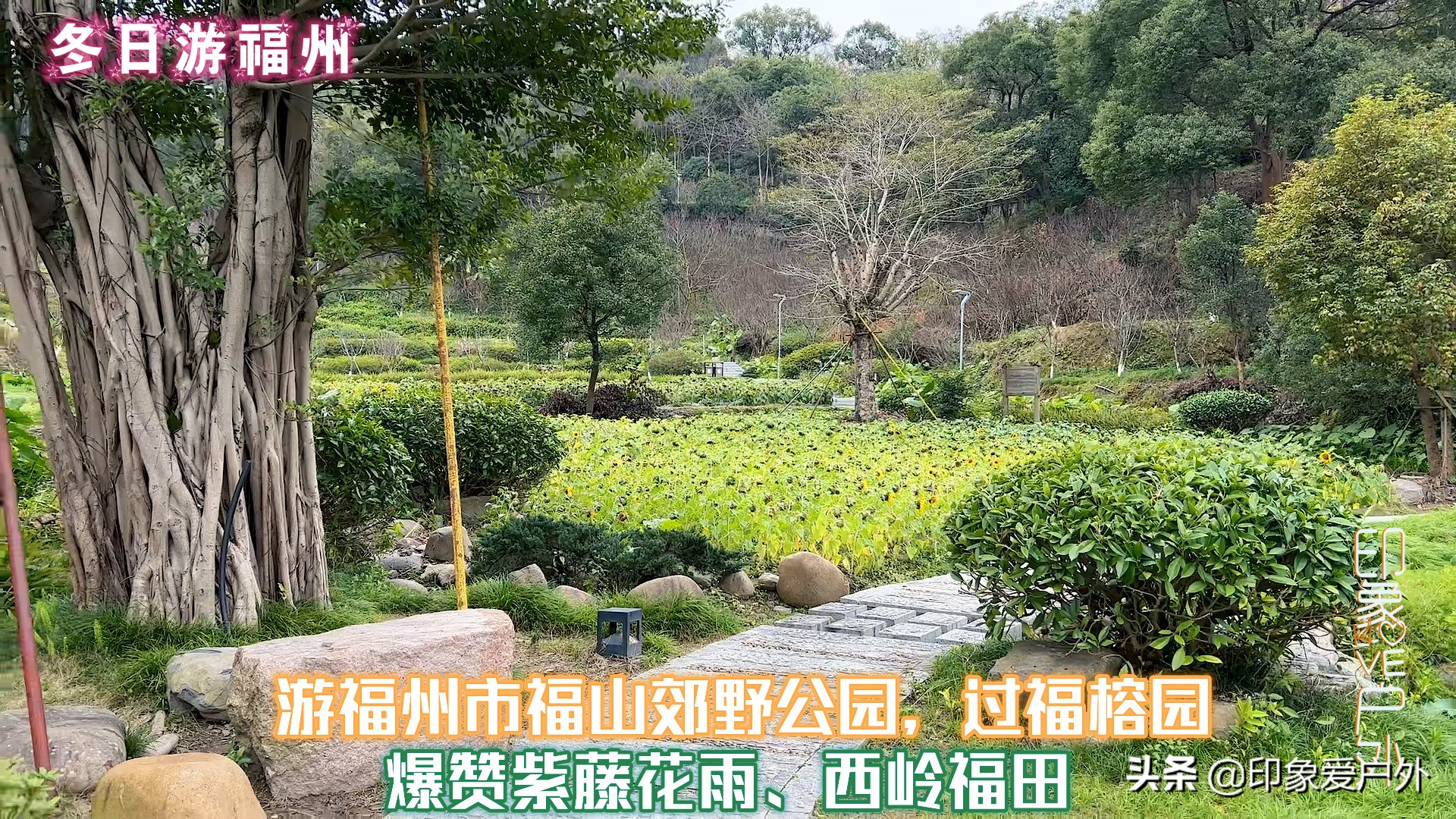 穷游见闻月游记，第四站福建省福州市，自由行路线汇总