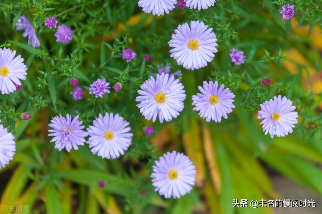 “李佳琦停播23天”：他不是败给了同行，只是不再被需要