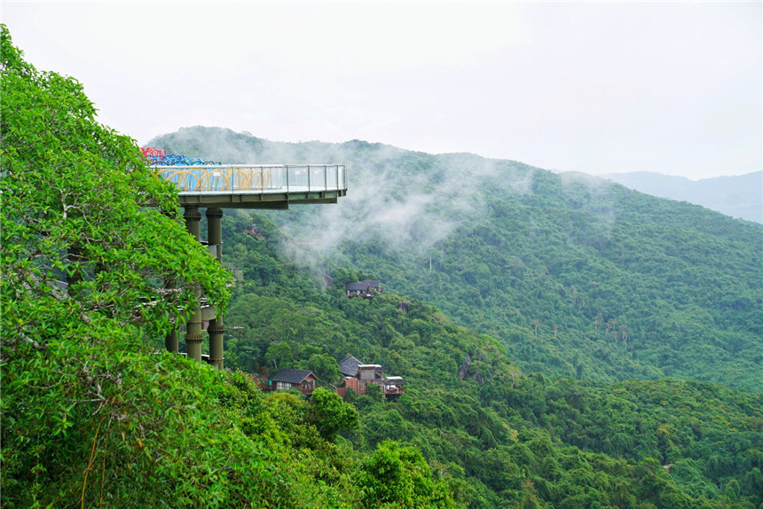 自驾海南，探寻雨林秘境，黎族村落到茶园深处，4天3晚游玩全攻略