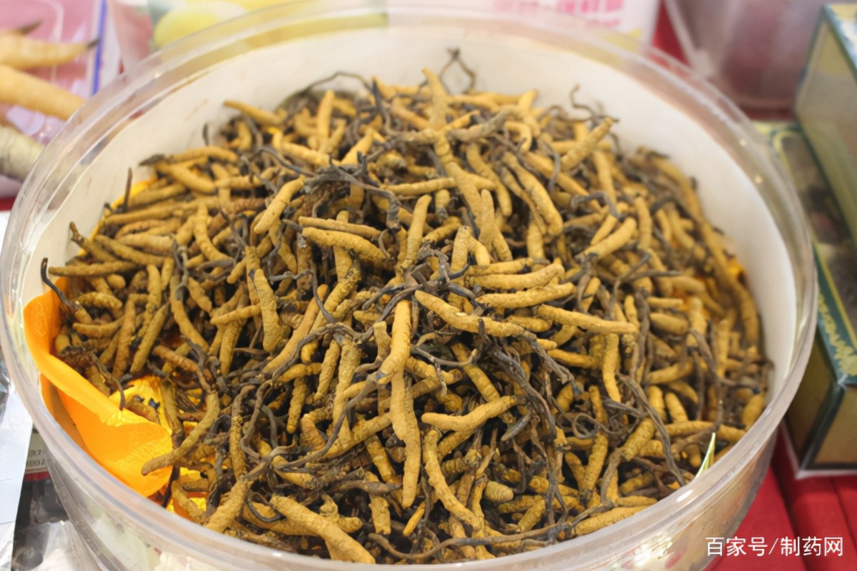 中医药板块热度不减，这只新股将在港上市